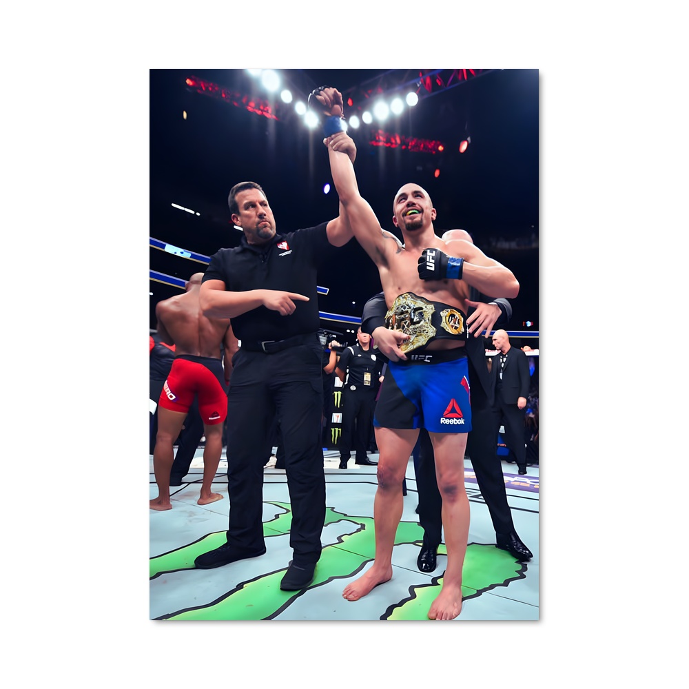 Poster Robert whittaker chemises